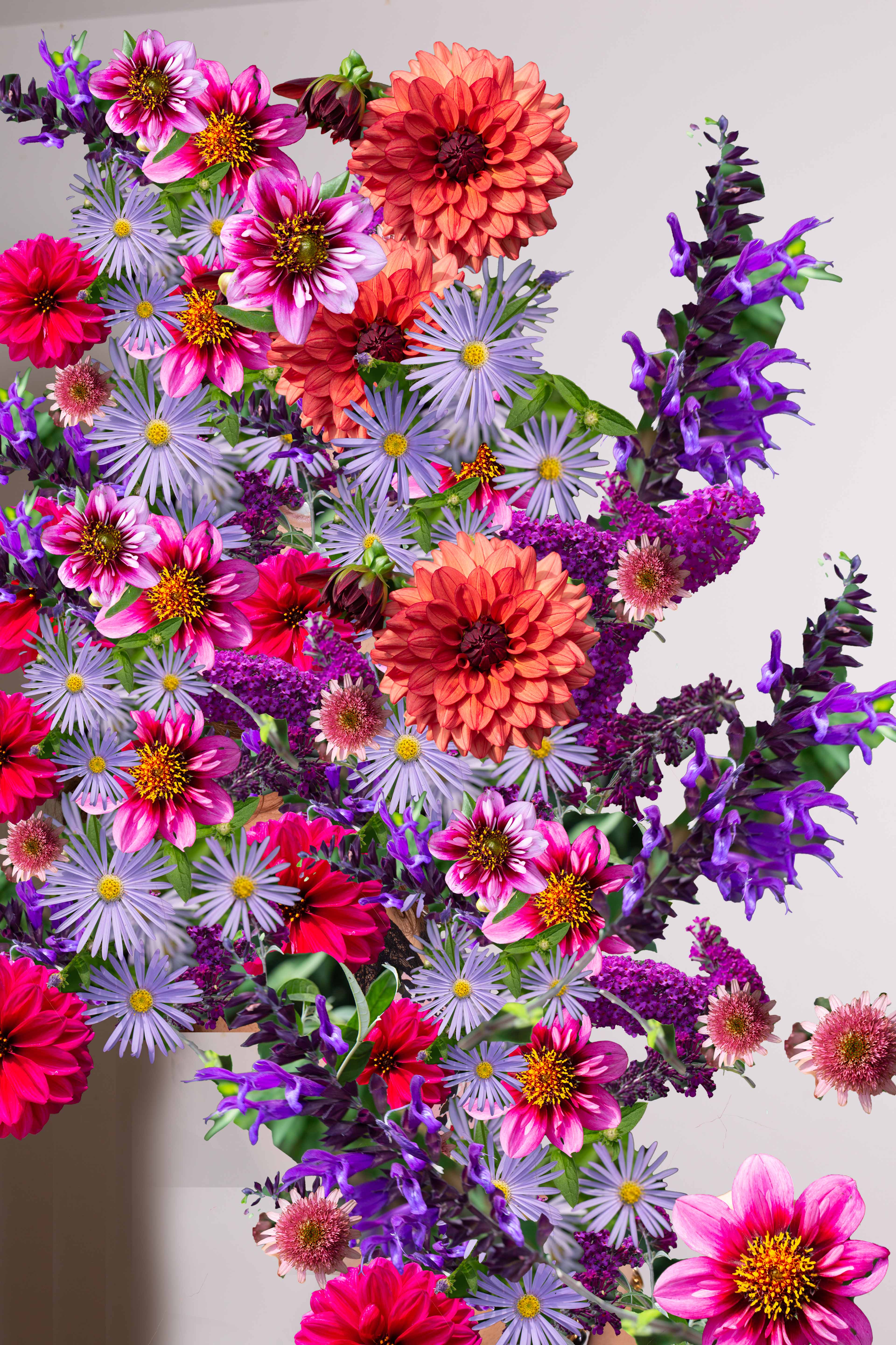 flower portrait