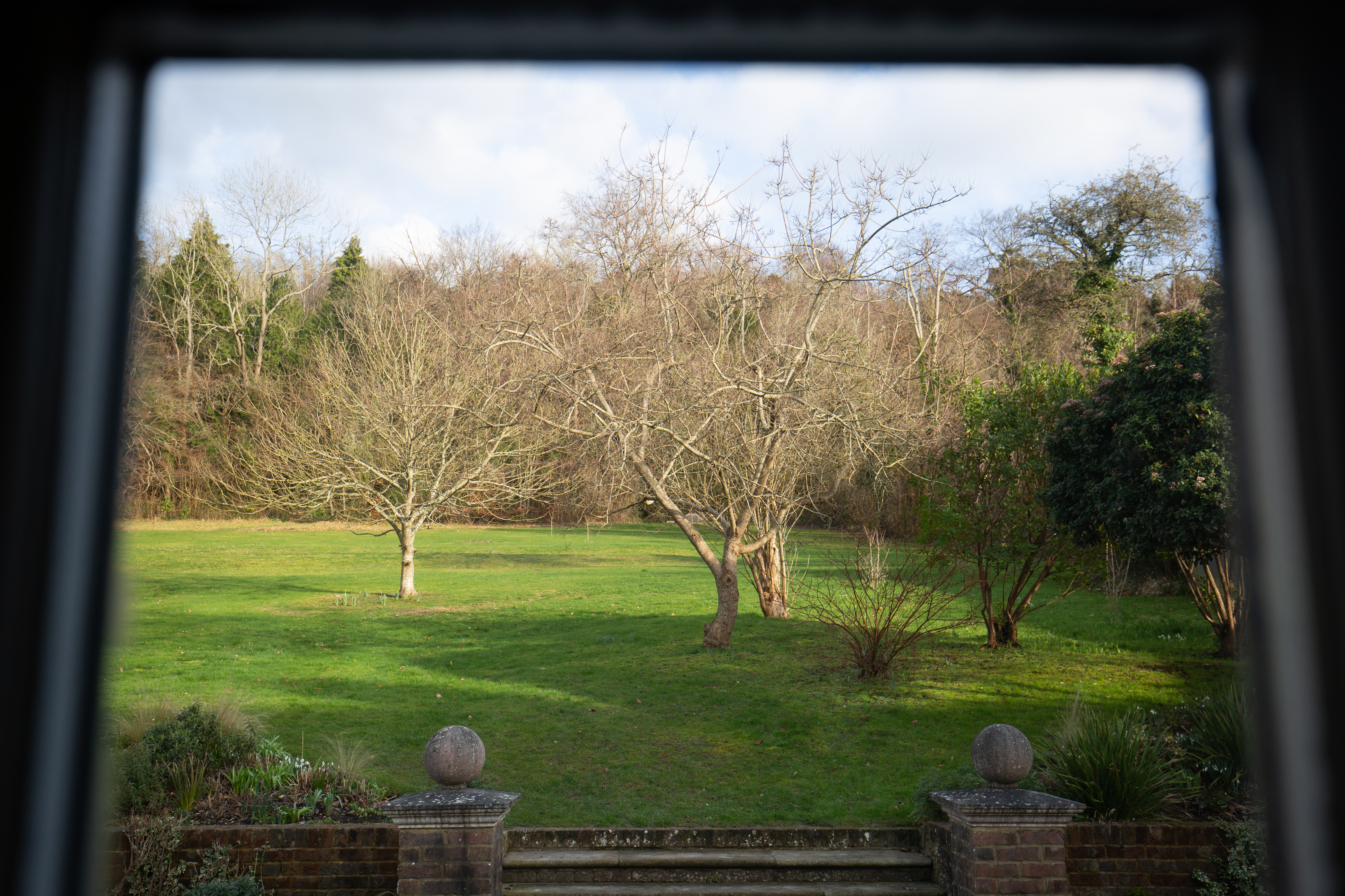 view through window with outline of it