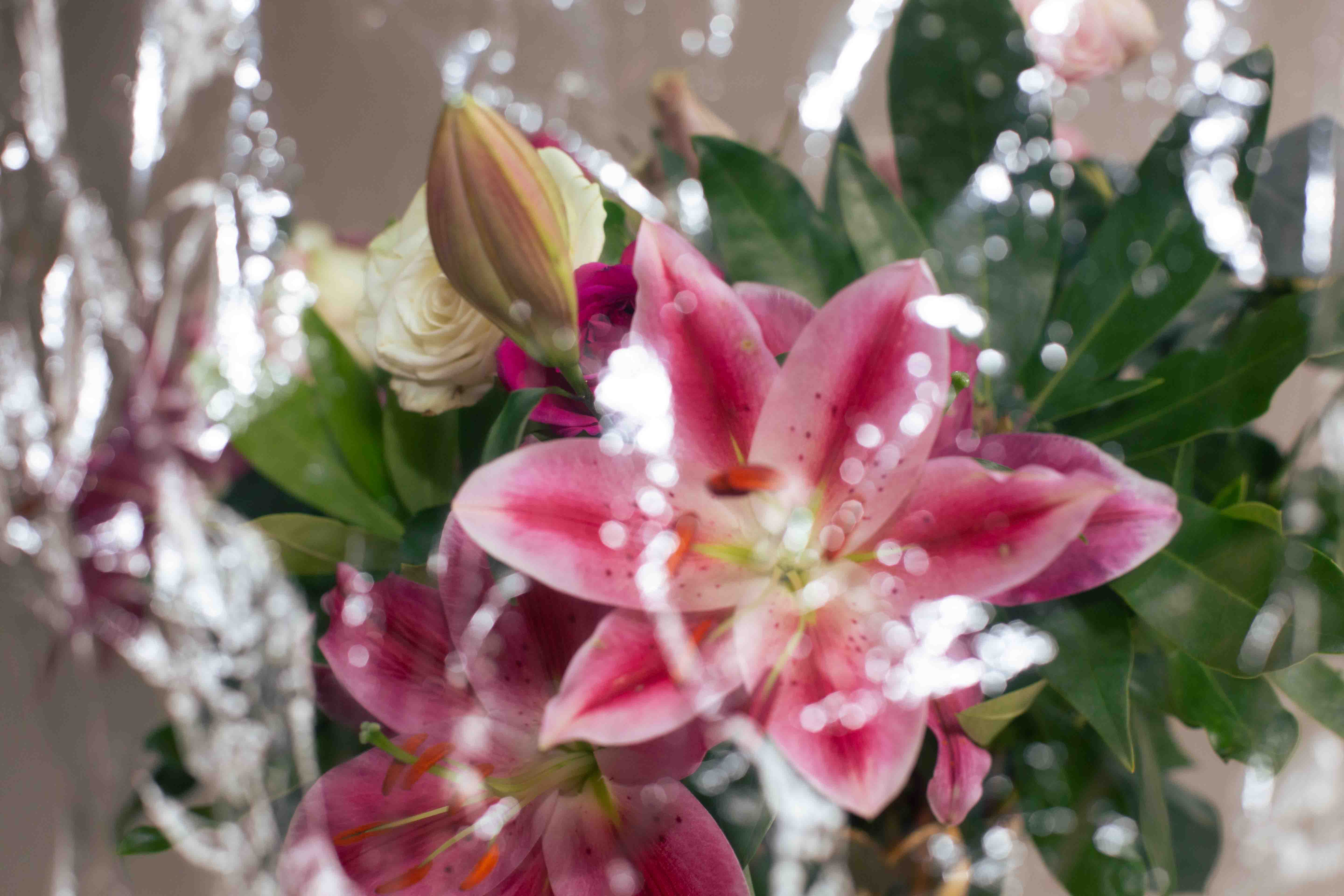 abstract lillies under a film landscape