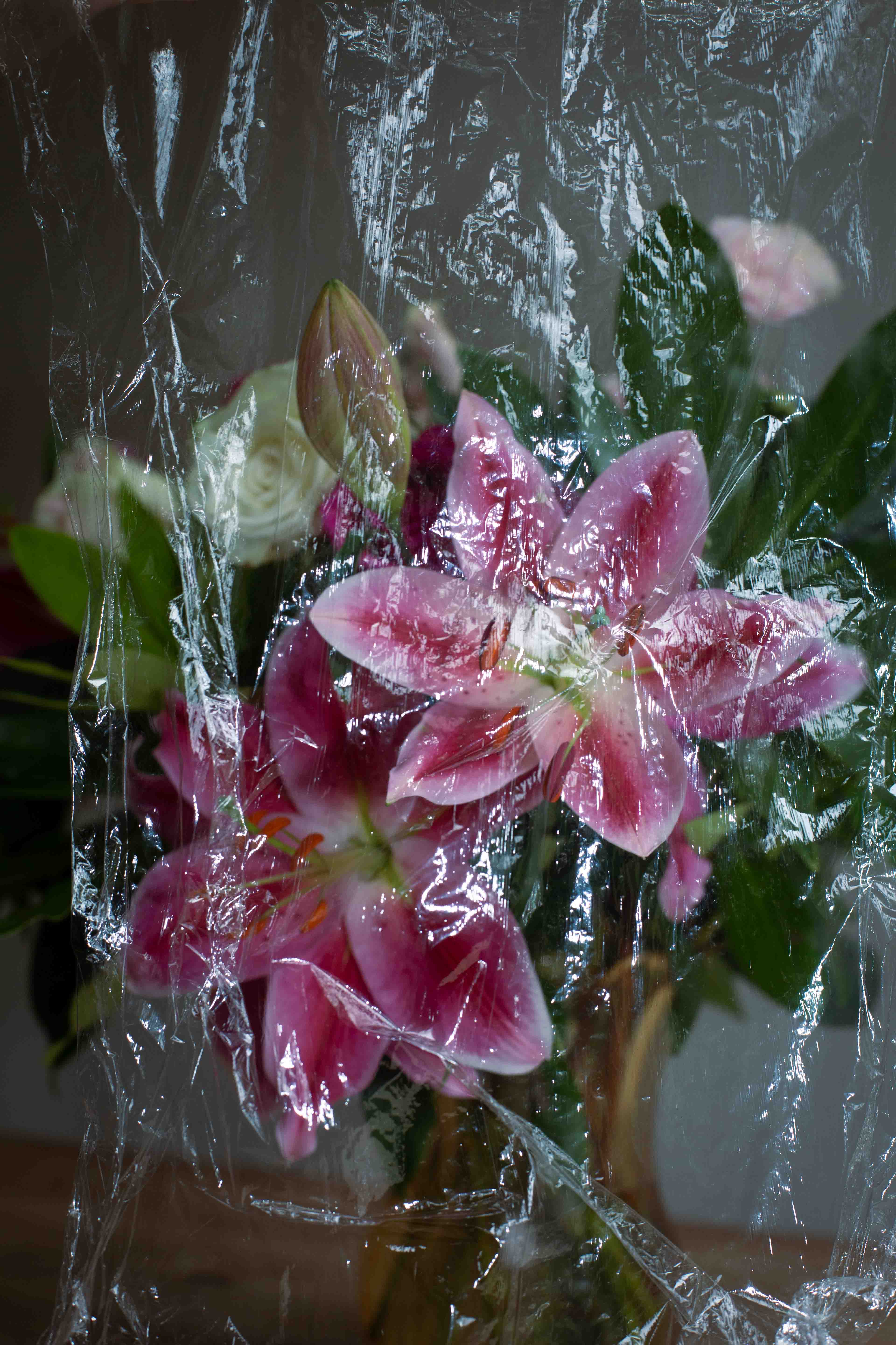 abstract flowers under a film